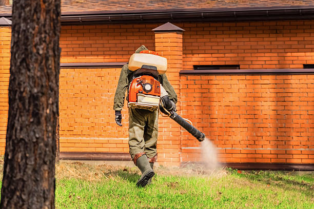 Trusted Mosquito Control service in Willow Springs, MO - Nex Pest Control